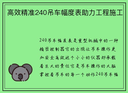高效精准240吊车幅度表助力工程施工
